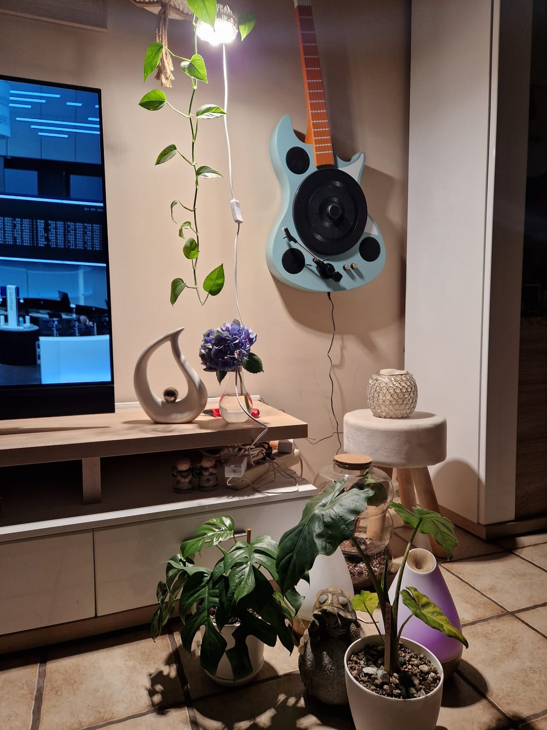 Customer photo review of Pflanzenlampe Sansi LED