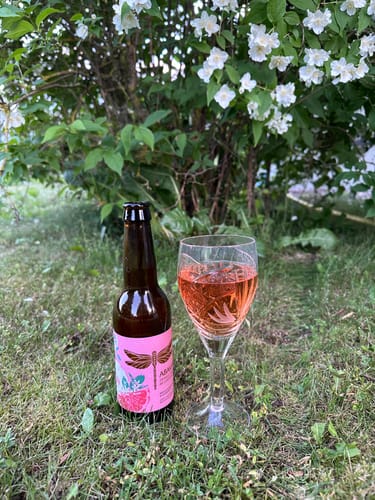 Customer photo review of Ziemeļu ābols ar greipfrūtu sidrs