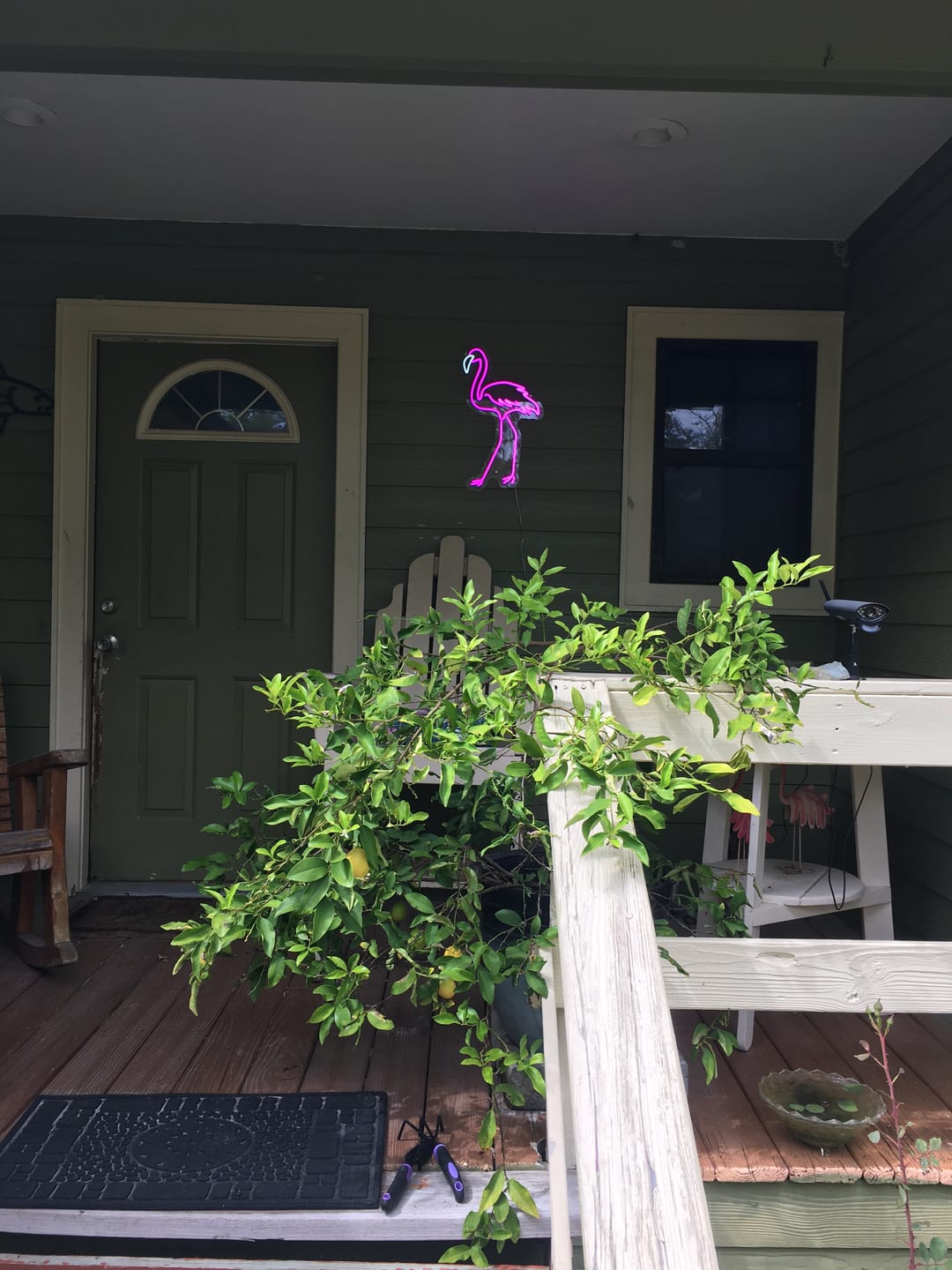 Customer photo review of Custom Neon Sign Outdoor Personalized LED Name Light