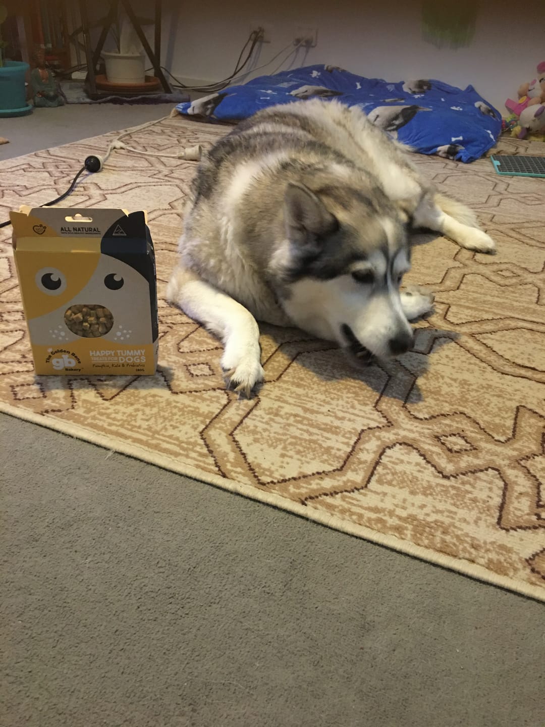 Customer photo review of Lamb Crunchies for Dogs & Cats