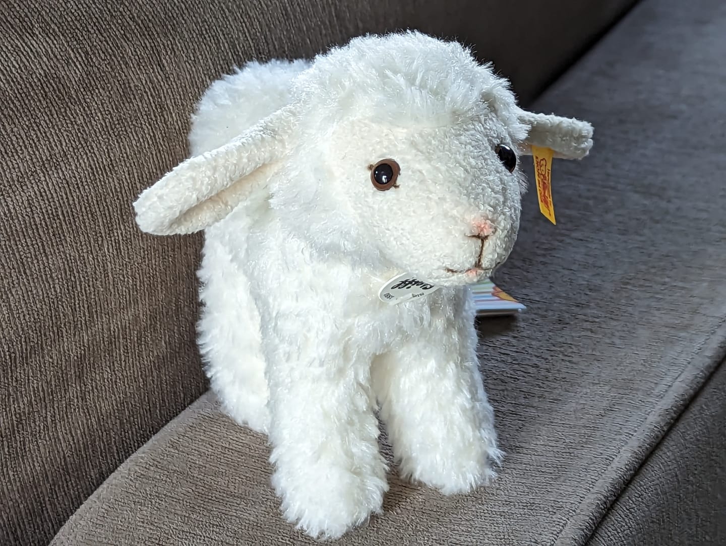 Customer photo review of Steiff Anni Lamb 074233