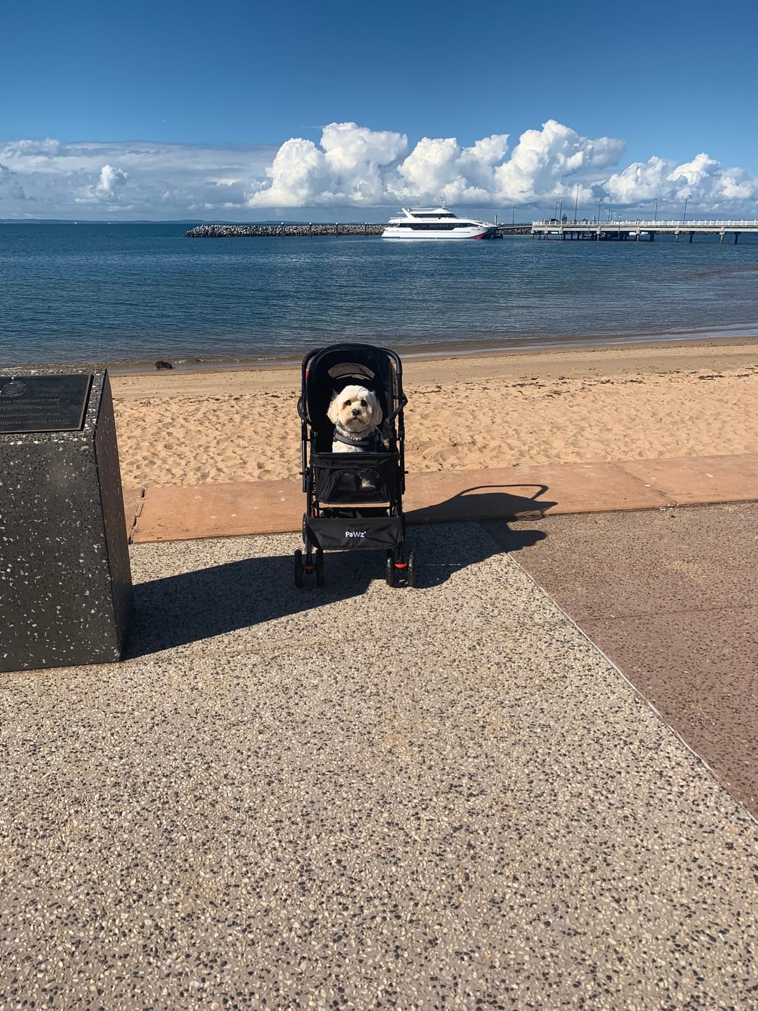 Customer photo review of PaWz Pet Dog Stroller Pram 4 Wheels