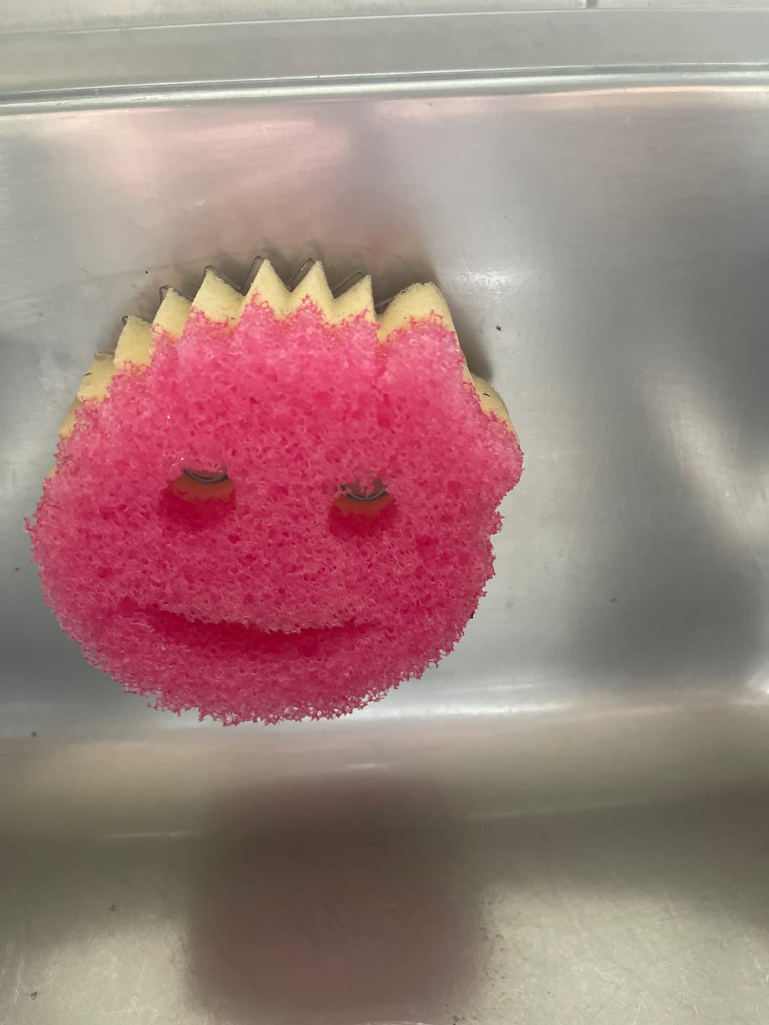 Customer photo review of Scrub Daddy Caddy