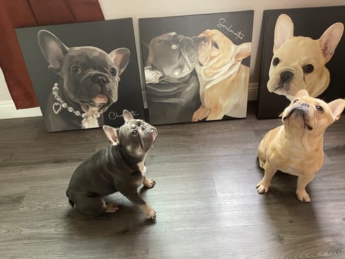 Customer photo review of Pet Art Canvas Wrap