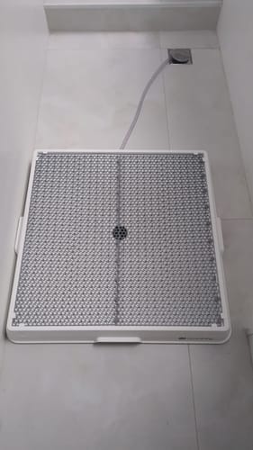 Customer photo review of Weasy Cão