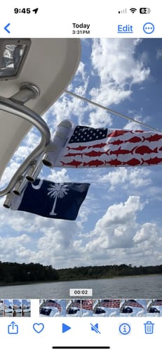 Customer photo review of South Carolina Flag