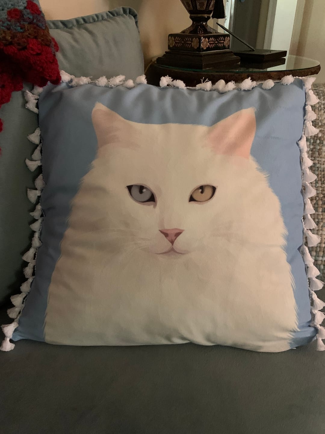 Customer photo review of Custom Pet Portrait Pillow - Two Sizes