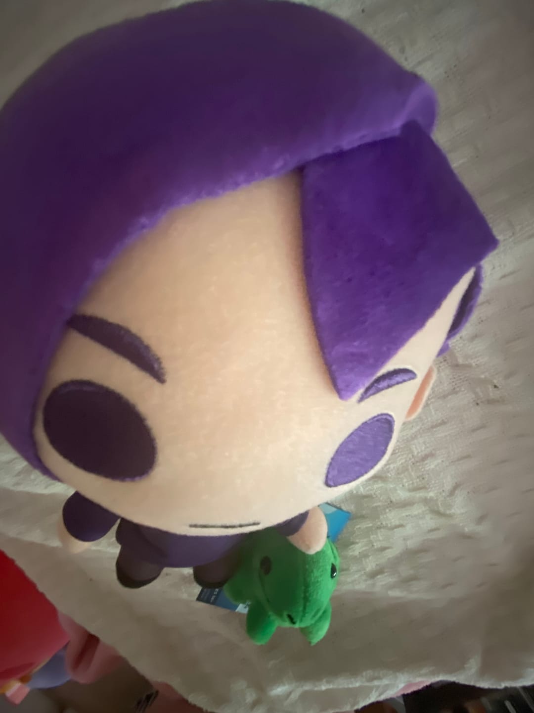 Customer photo review of Stardew Valley - Sebastian Collector's Plush