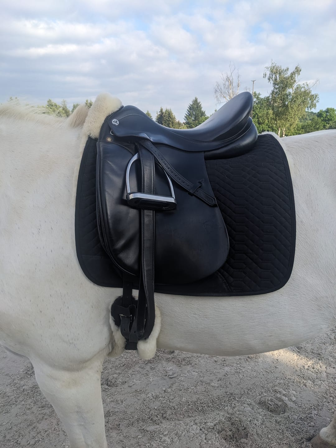 Customer photo review of Engel - Lammfell Sattelgurt Mondgurt 45 bis 70 cm
