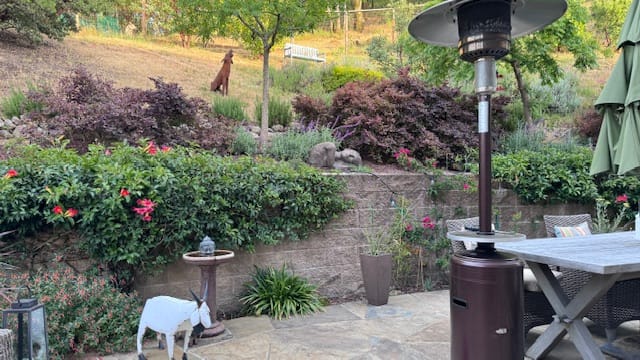Customer photo review of TSUN Solar Spotlights Outdoor Garden Lights