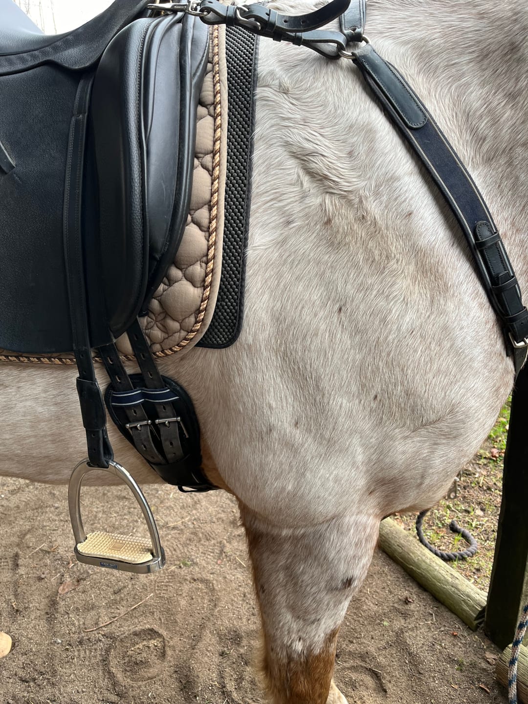 Customer photo review of Rambo Micklem Contoured Short Girth