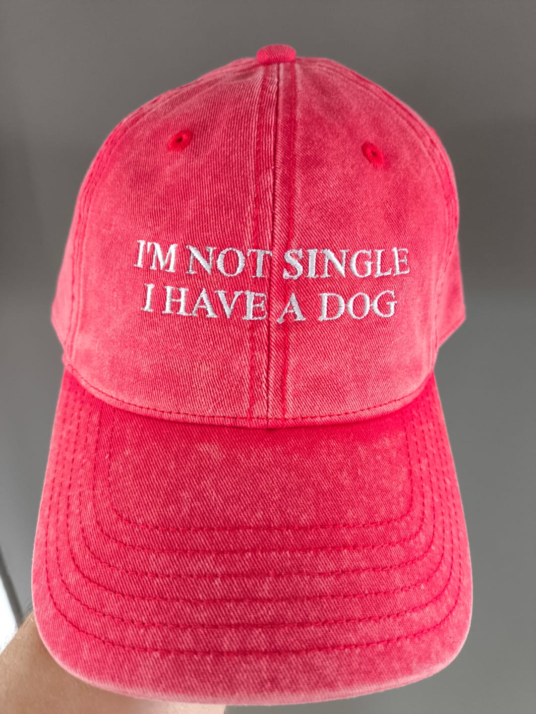 Customer photo review of I'M NOT SINGLE I HAVE A DOG - Vintage Dad Cap