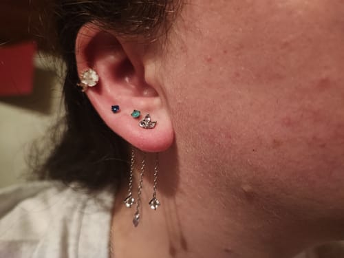 Customer photo review of Puce d'oreille Moana