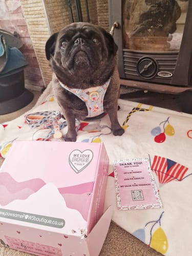 Customer photo review of Disney© Tough Trails™ Harness - Winnie The Pooh