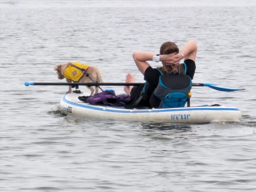 Customer photo review of Boost Fin for SUP