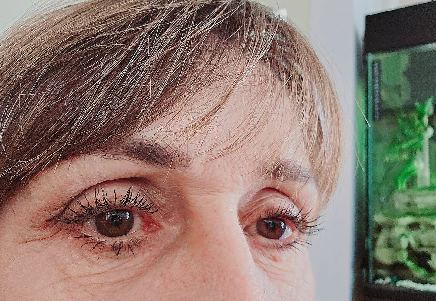 Customer photo review of Purely Lashes Lash Growth Serum