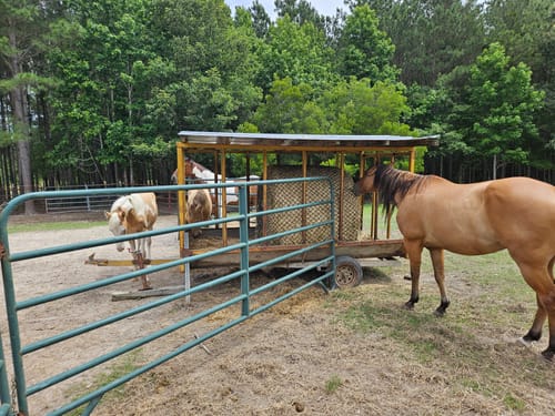 Customer photo review of Hay Chix® Large Bale Net- 4'
