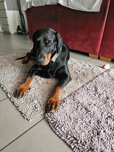 Customer photo review of Premium - CleanyMat