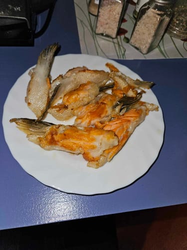 Customer photo review of Fresh Salmon Cuts 1KG