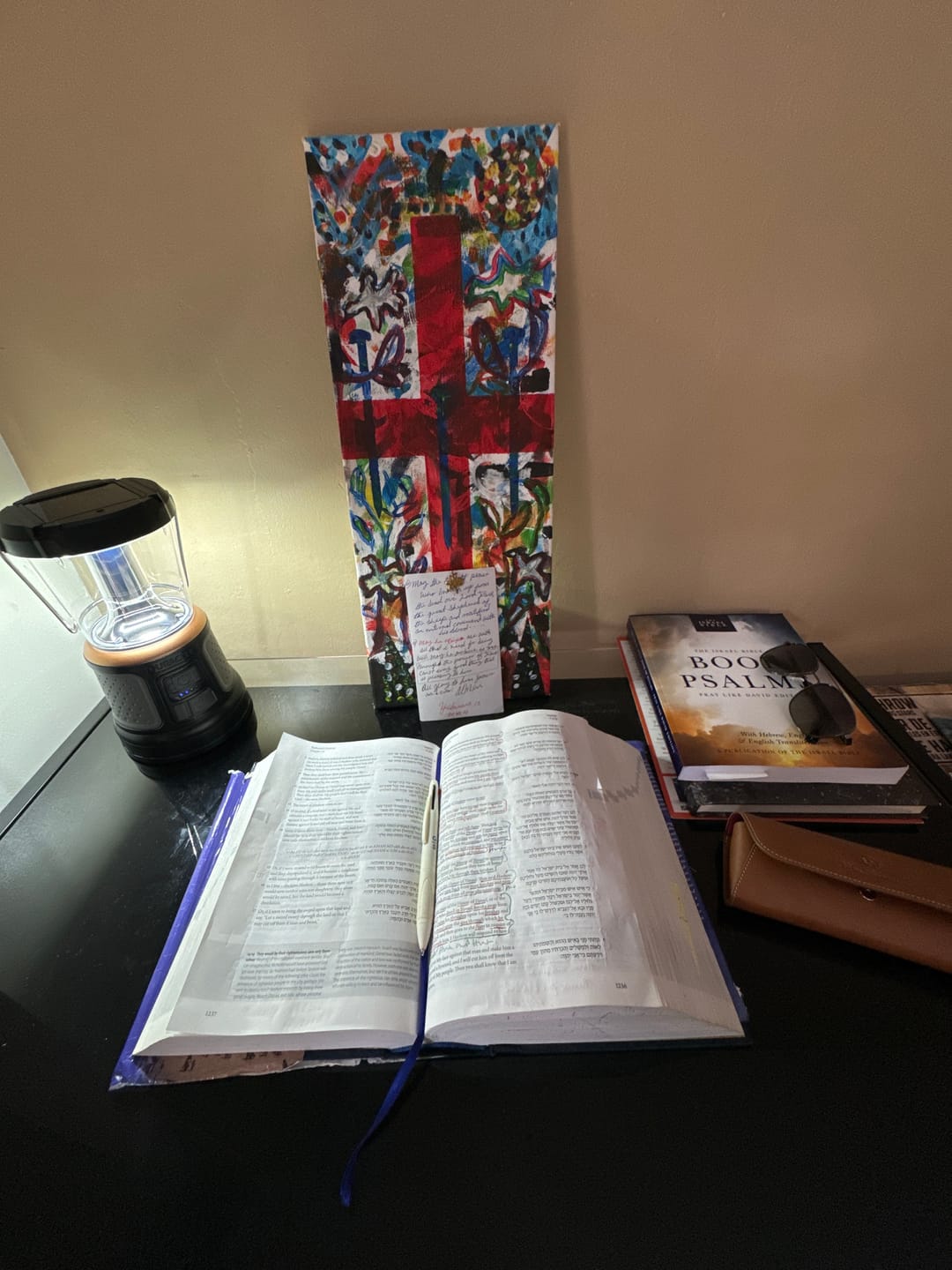 Customer photo review of The Israel Bible - Hardcover