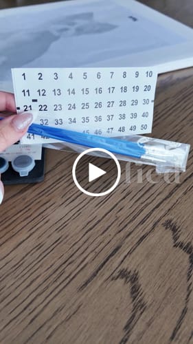 Customer video review of Custom Paint by Numbers Kit