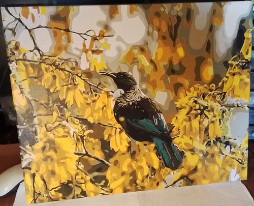 Customer photo review of Tui in Kowhai Tree