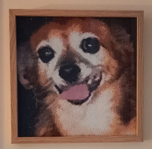Customer photo review of Custom Diamond Painting