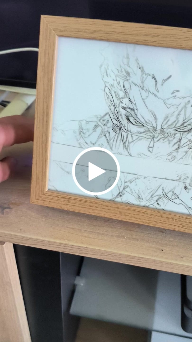 Customer video review of Zorro