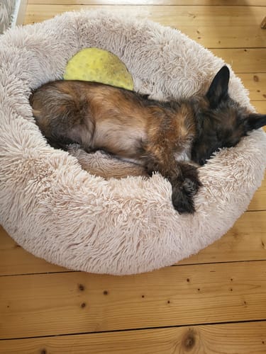 Customer photo review of CalmBed - Motverkar stress & hjälper mot ångest