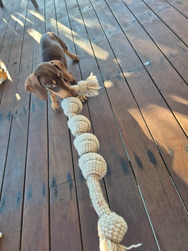Customer photo review of Hemp Rope with Chew Knots