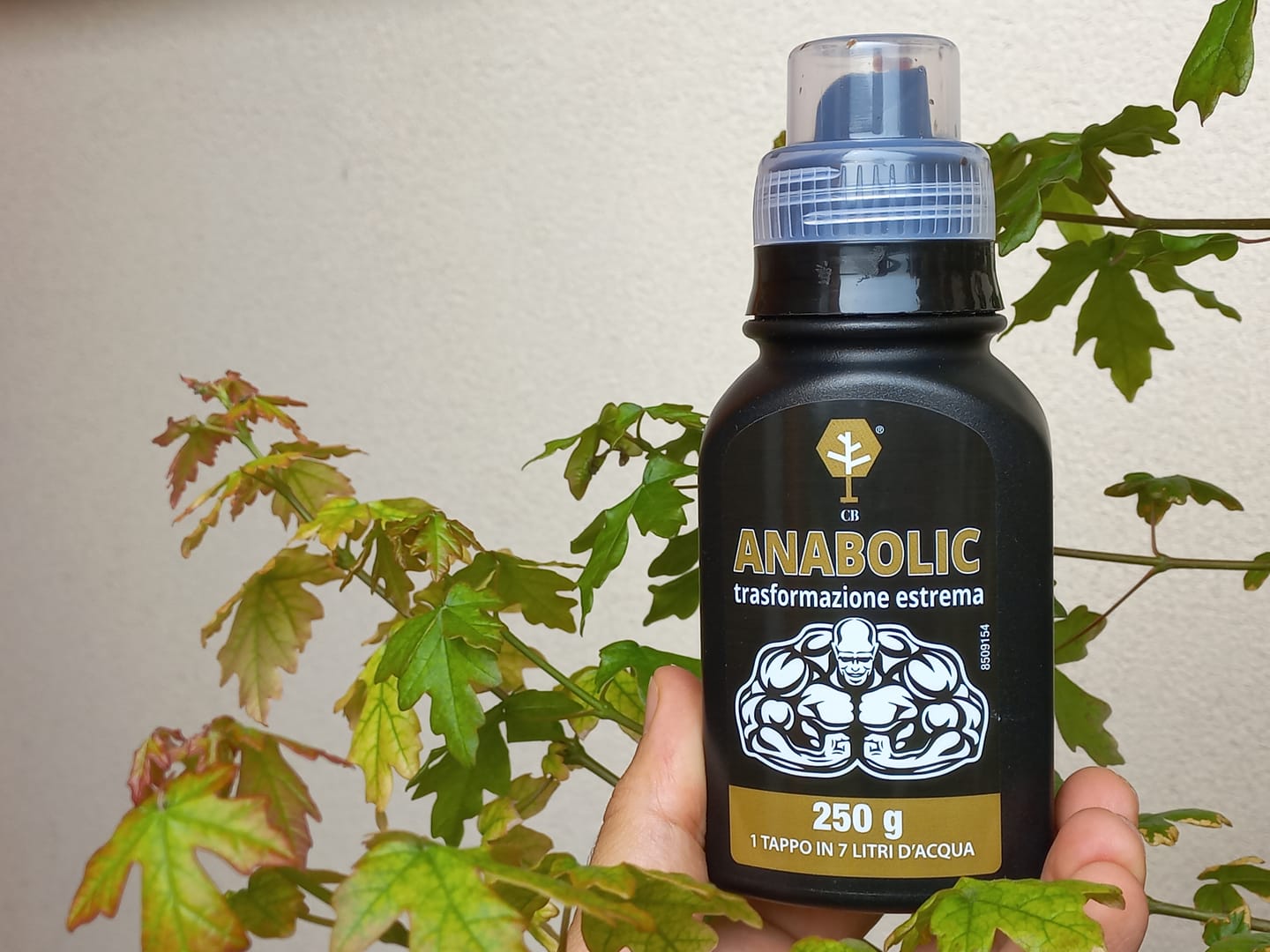 Customer photo review of ANABOLIC CB® (Trasformazione Estrema)