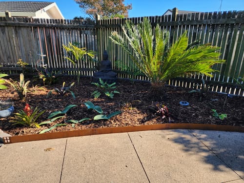Customer photo review of Corten Garden edging 100mm high x 1mtr long (sale Buy 5 get 1 Free)
