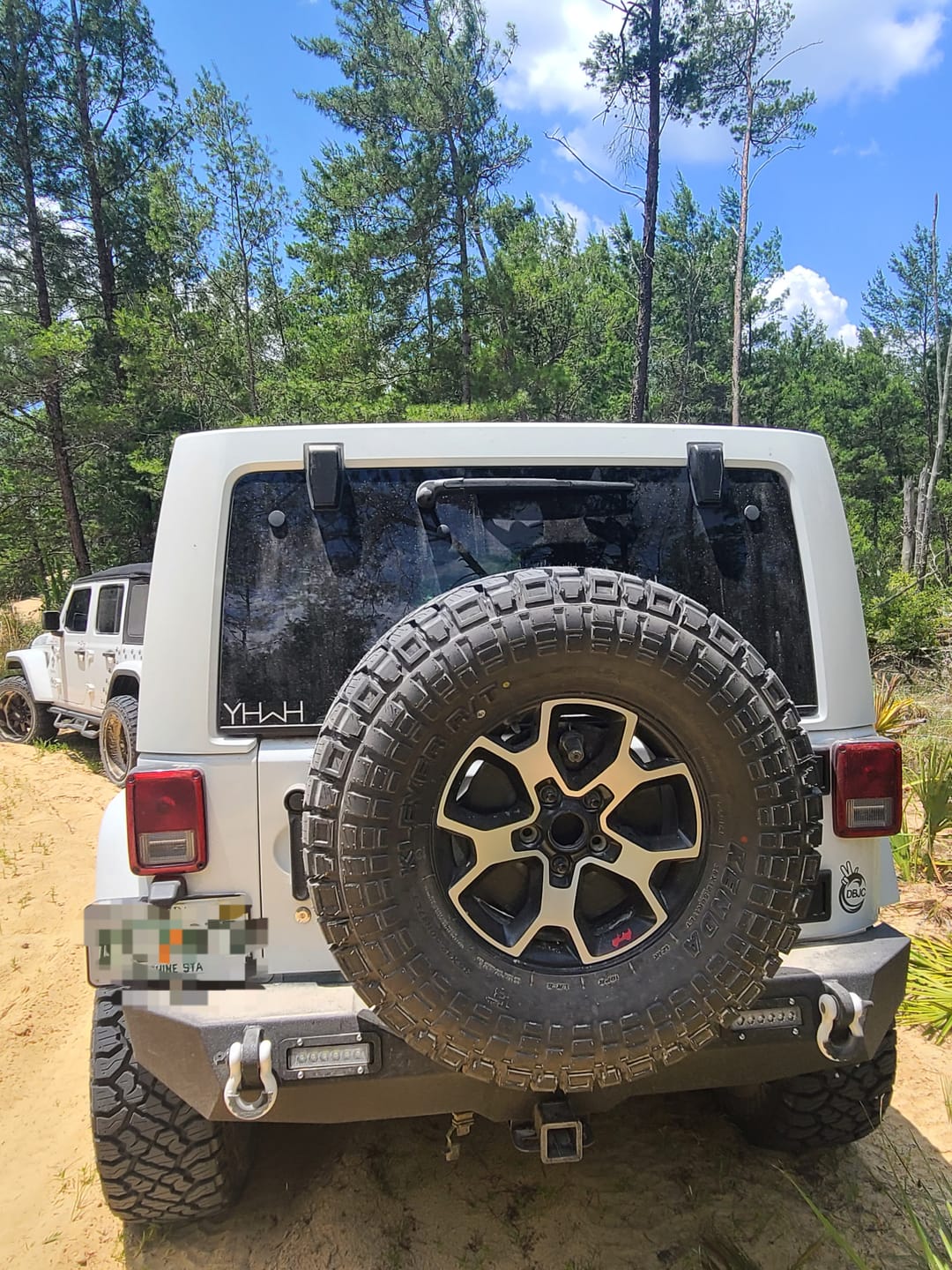 Customer photo review of Laser Cut Decal Logo Pack