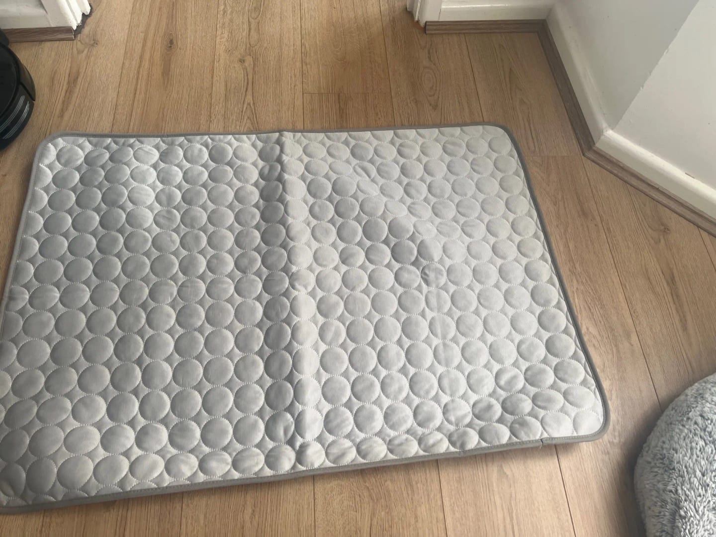Customer photo review of Vico's Kühloase