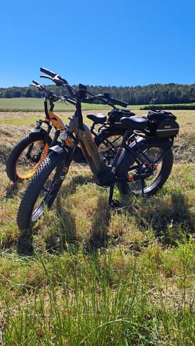 Customer photo review of Lankeleisi MG600 Plus 1000W Bafang Motor 26" Fat Bike All Terrain SUV E-Bike 48V 20Ah Samsung Battery
