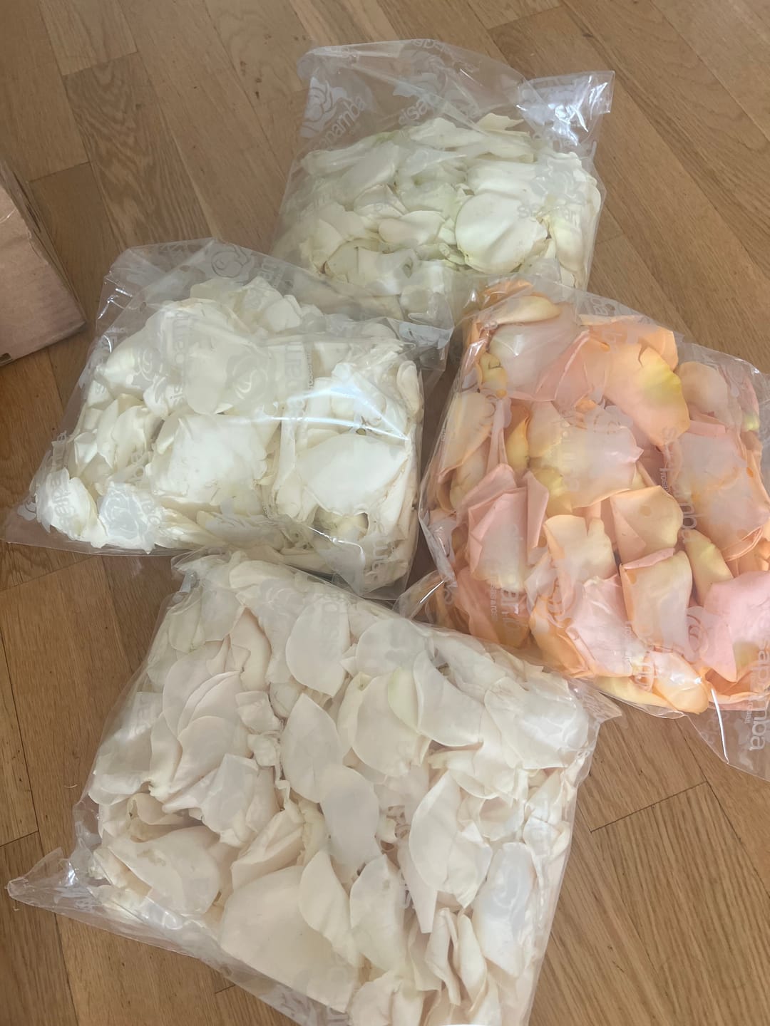 Customer photo review of Choose Your Petals!