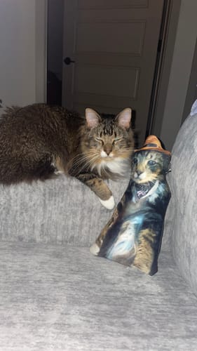 Customer photo review of Custom Pet Pillow