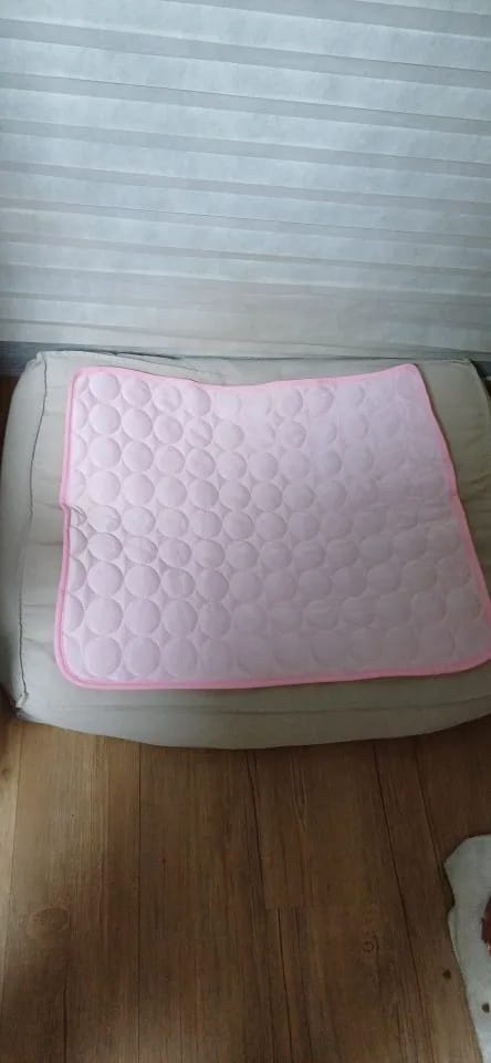 Customer photo review of Vico's Kühloase