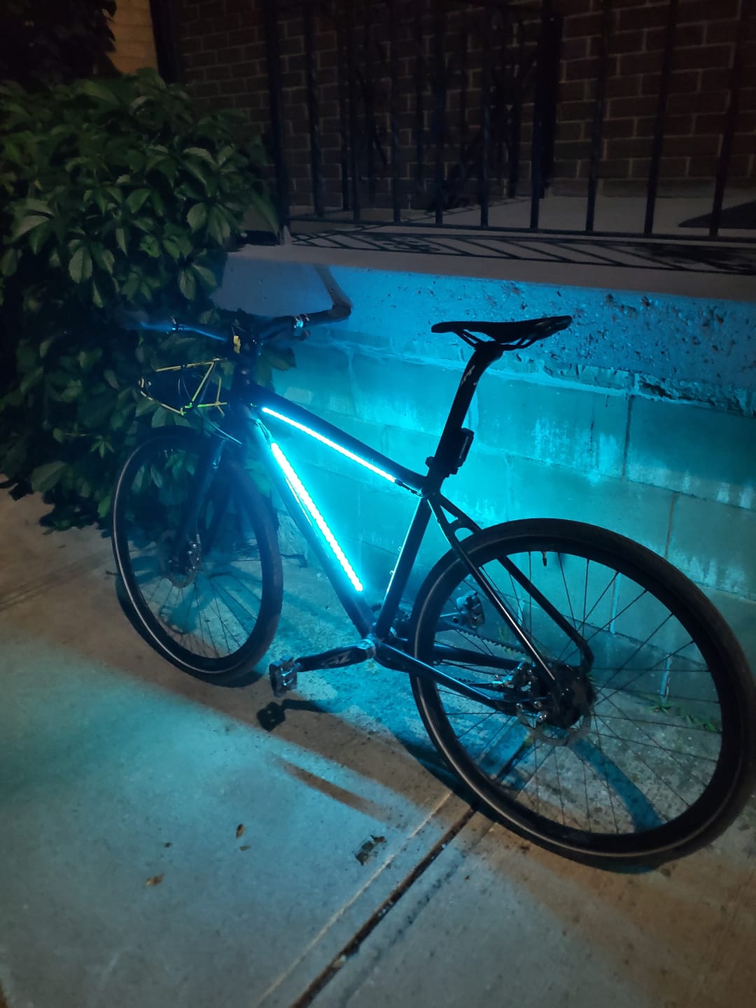 Customer photo review of LED BIKE SYSTEM