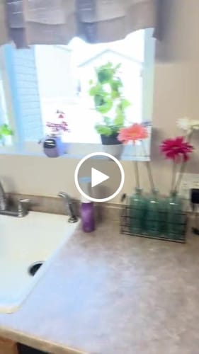 Customer video review of SmartPot Ivy