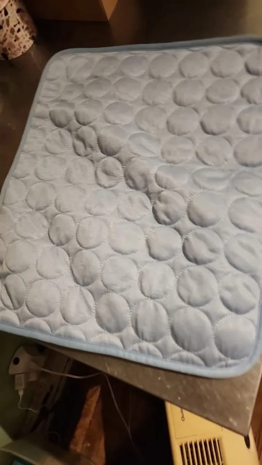 Customer photo review of Vico's Kühloase