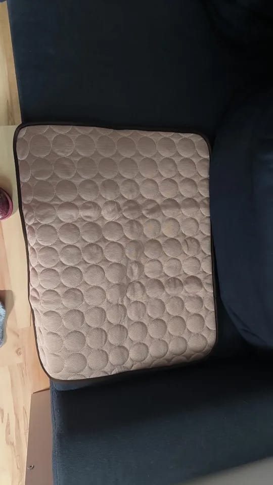 Customer photo review of Vico's Kühloase