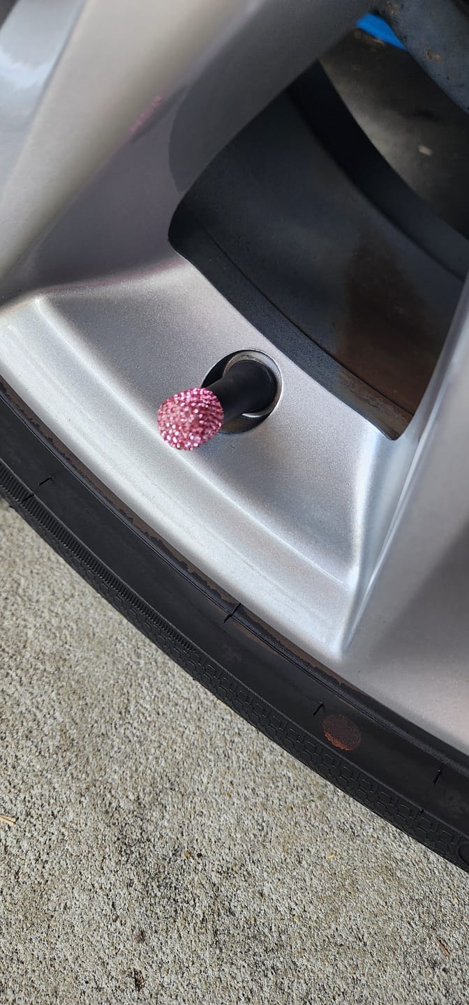 Customer photo review of Lil' Princess Valve Caps