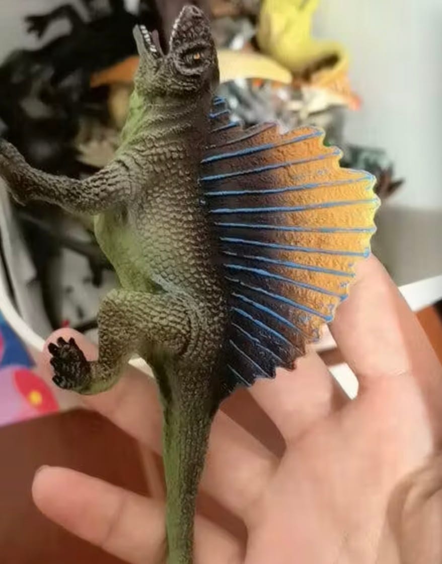 Customer photo review of Mideer Dinosaur Toys Set 24 Pcs