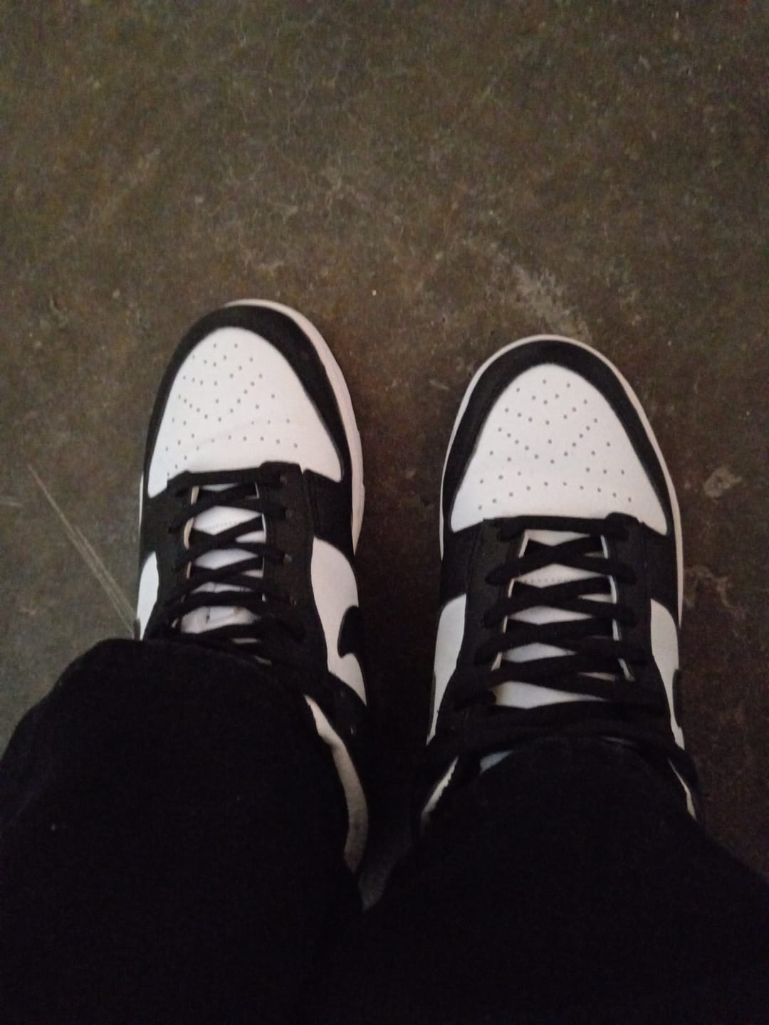 Customer photo review of Tenis Dunk Low Vaquita