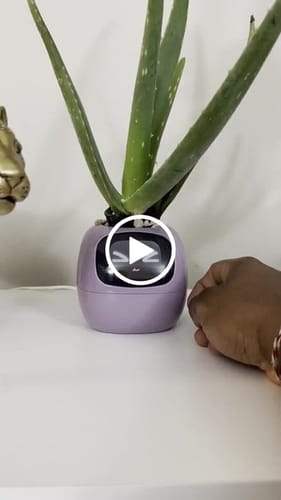 Customer video review of SmartPot Ivy