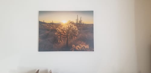 Customer photo review of Sparkling Spikes - Tucson, Arizona II