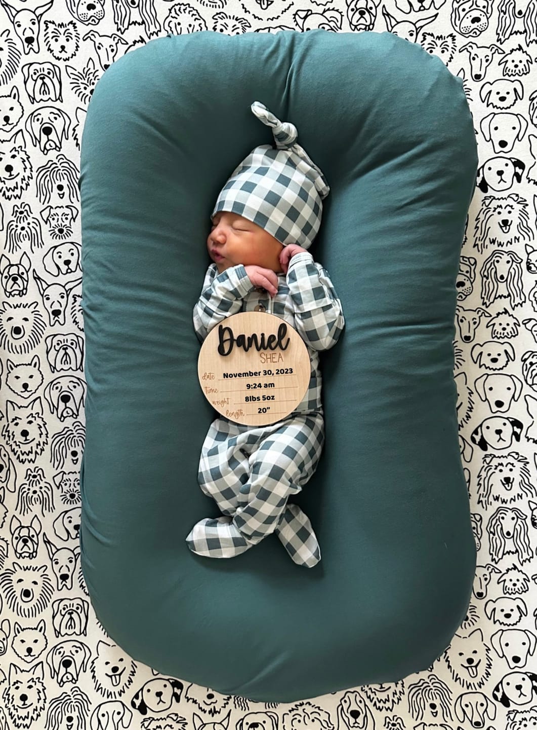 Customer photo review of Baby Name Announcement Sign with Stats