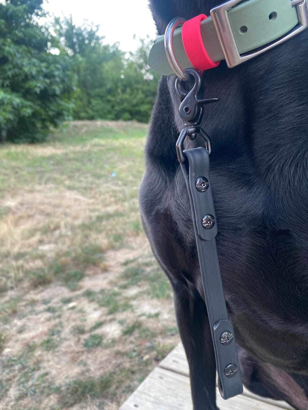 Customer photo review of Denali Training Tab