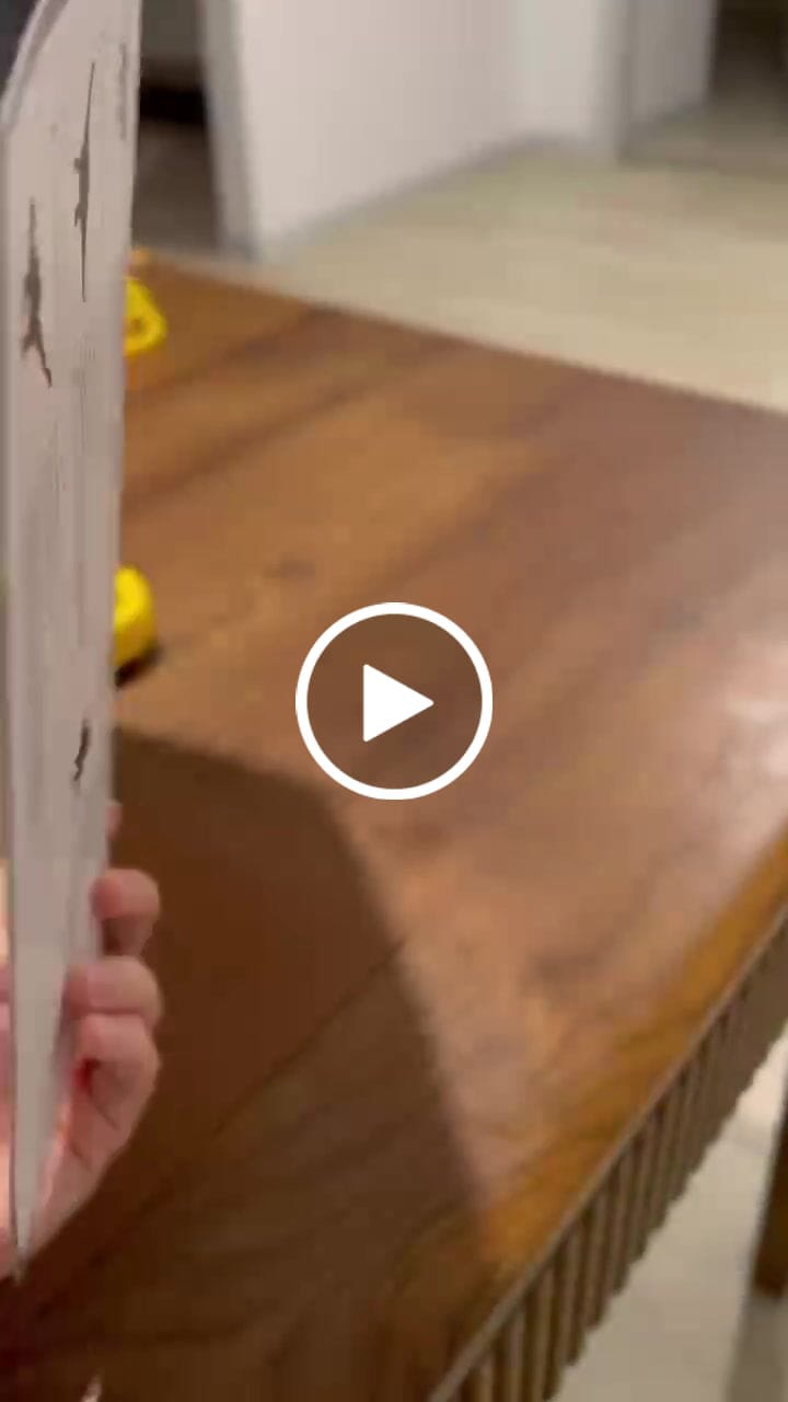Customer video review of Mideer Dinosaur Toys Set 24 Pcs